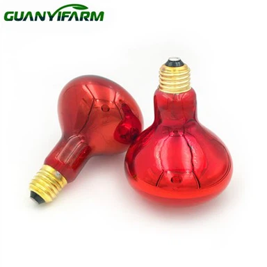 Infraroșu Brooder lampă