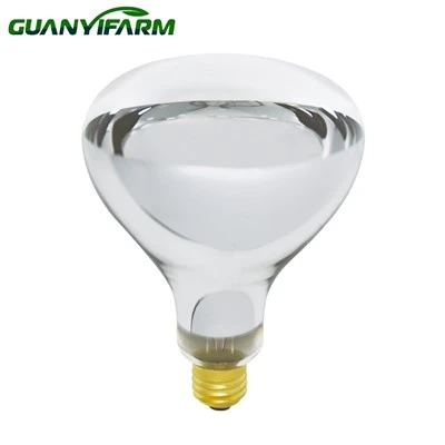 Bec de căldură cu infraroșu R40 de 250 W
